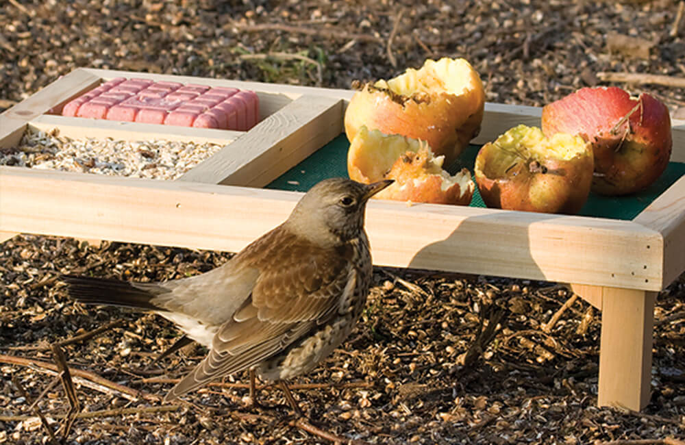 Verse appels op een voedertafel.