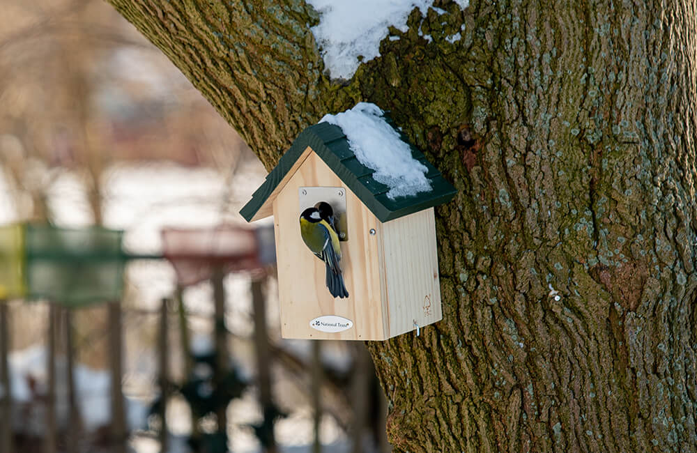 Een nestkastje met sneeuw op het dak