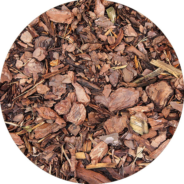 Uitgedroogde boomschors op de grond.