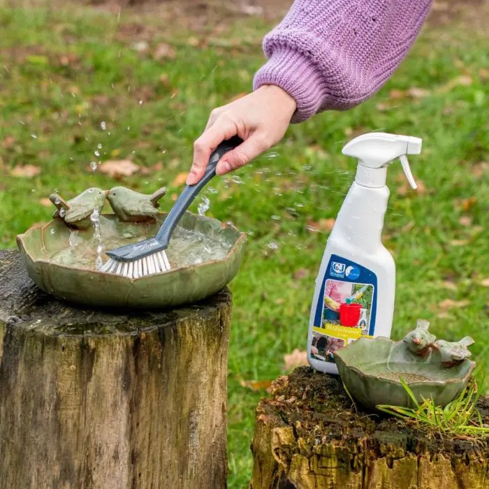 Schoonmaken van een vogelbad met schoonmaakspray