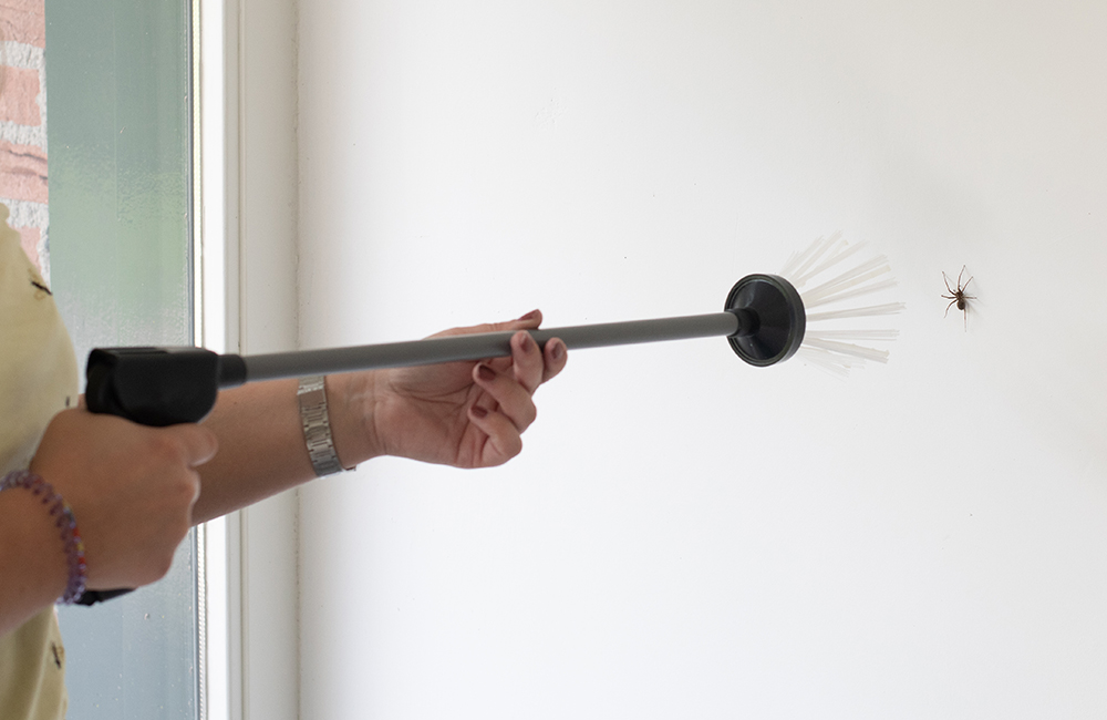 Een vrouw met een insectenverwijderaar in haar hand om een spin te vangen die in huis was binnengedrongen.