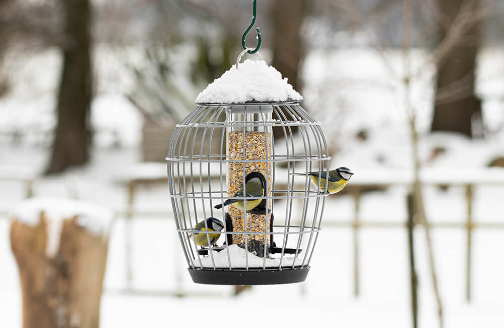 Een eekhoorn-proef vogelvoerhuisje bedekt met sneeuw