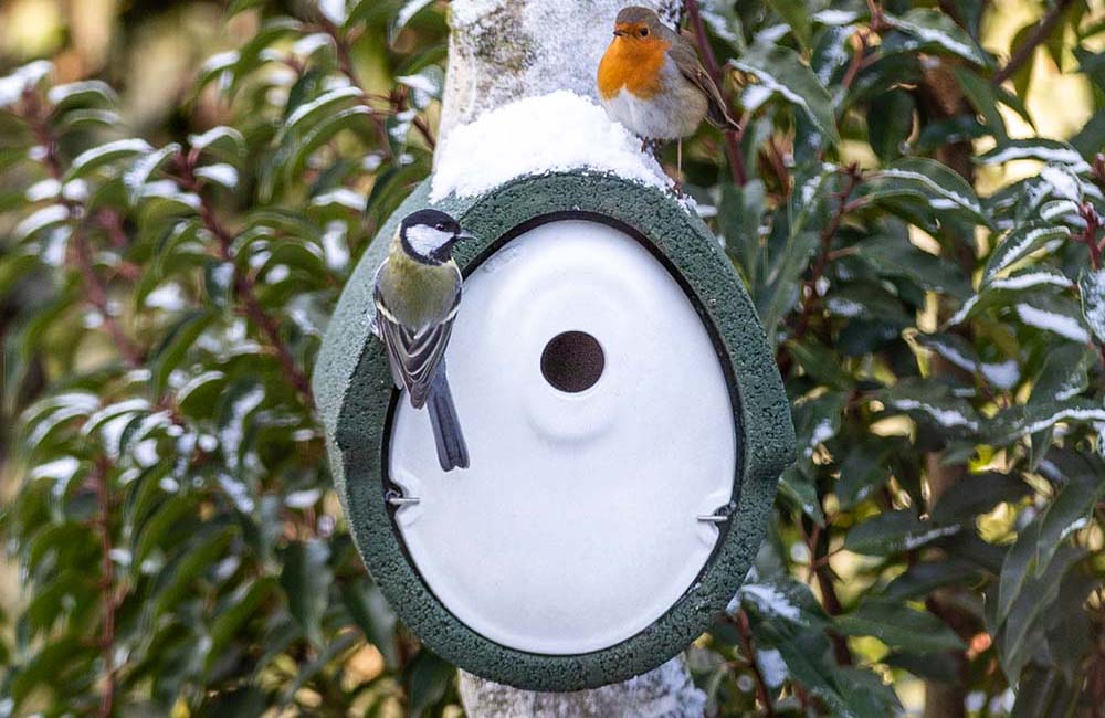 Nestkast met een koolmees en een roodborstje