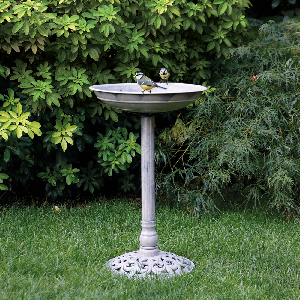 Een vogel op de rand van een staand vogelbad