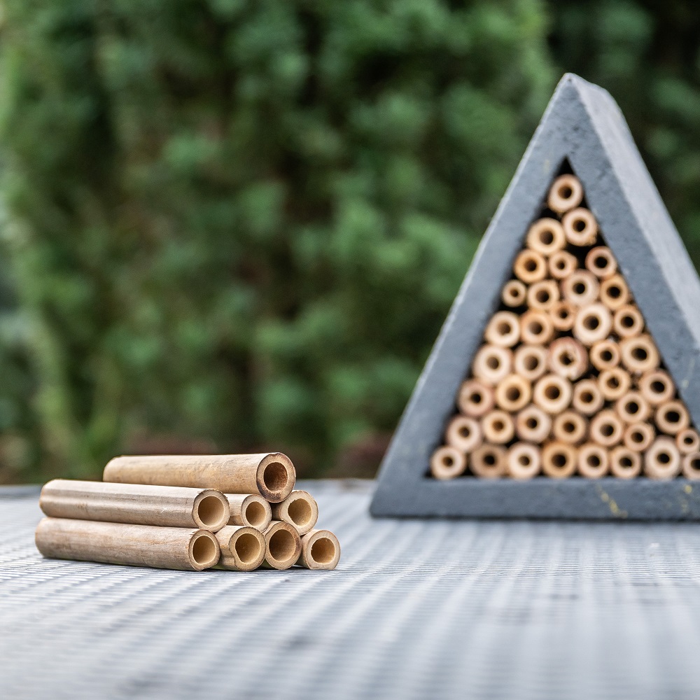 Bamboe hout waarmee je een insectenhotel kunt vullen