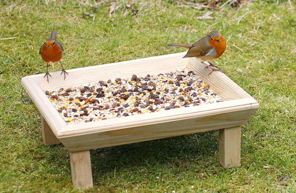 Twee roodborstjes zitten op een vogelvoedertafel met zaadjes erop.