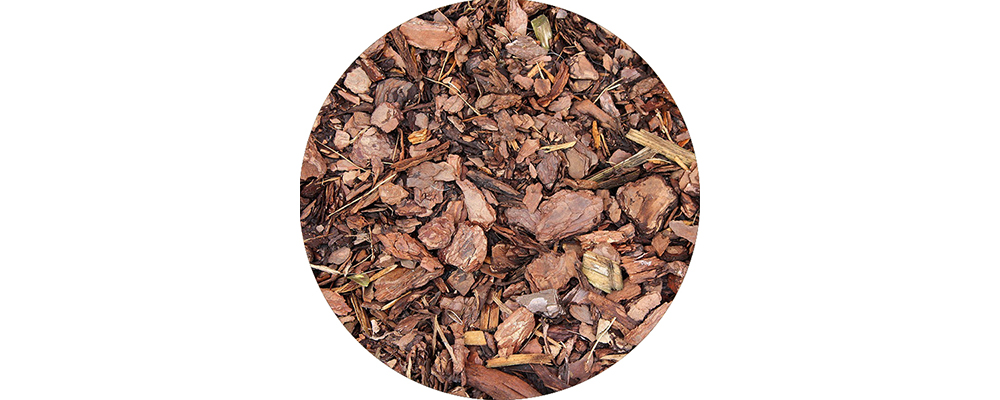 Uitgedroogde boomschors op de grond.