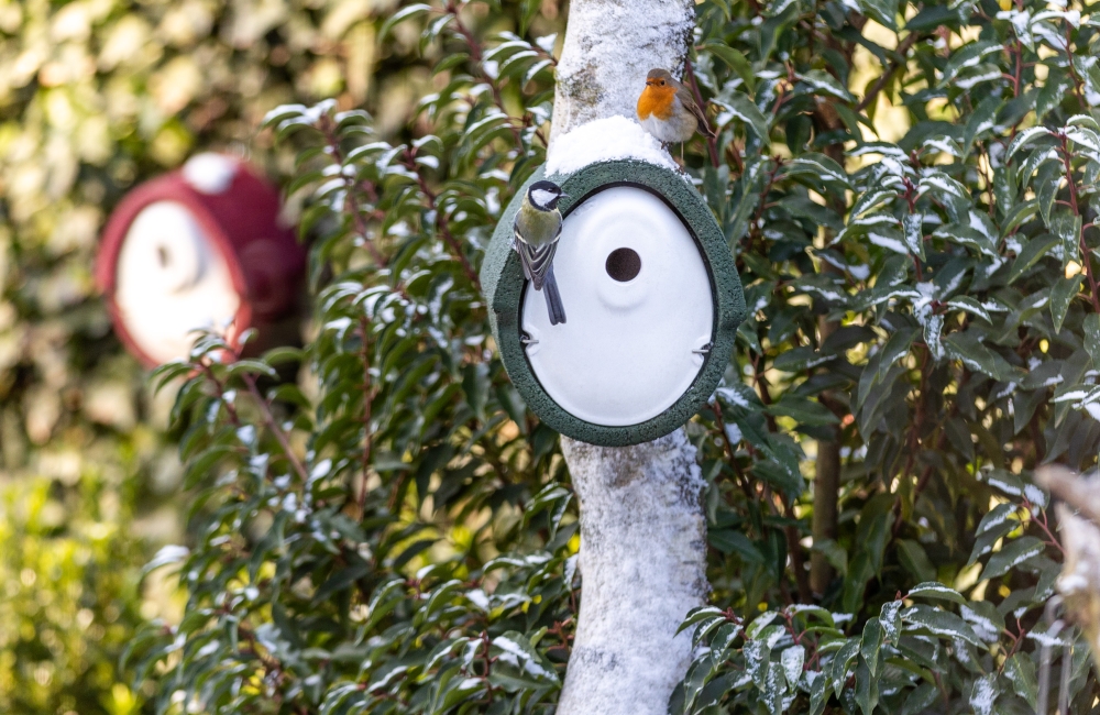 Roodborstje en koolmees op een nestkast van houtbeton